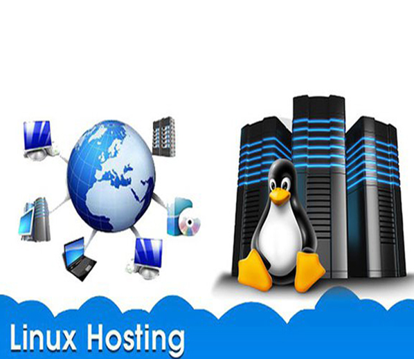 Linux Web Hosting