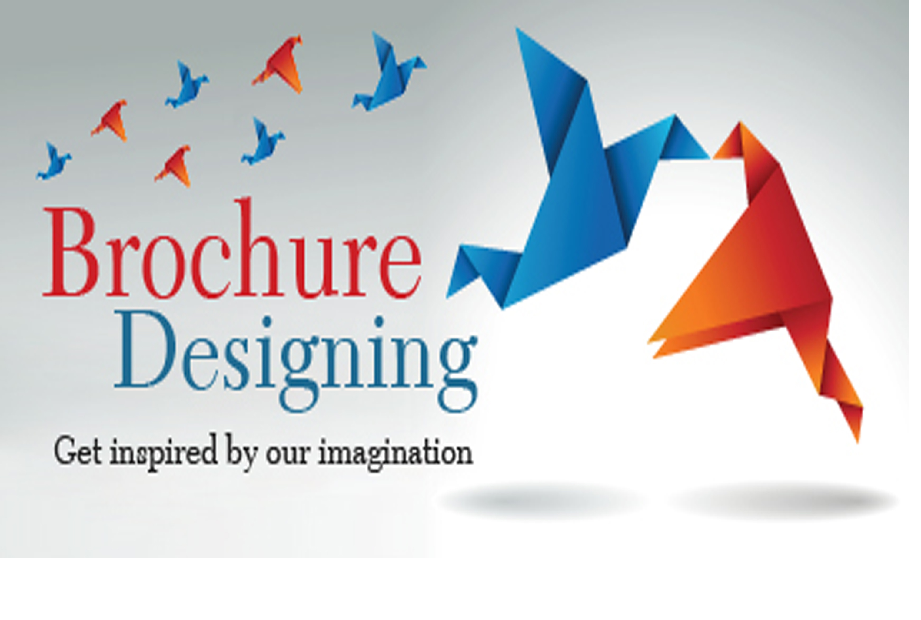 Brochure Design Services